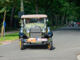 2024-d800-pareldervoorkempen-7994